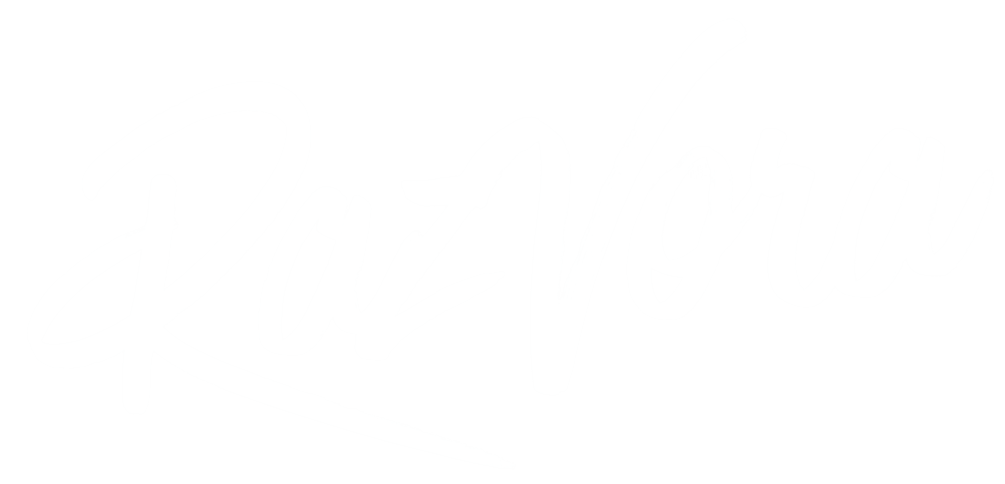 RazVora Logo