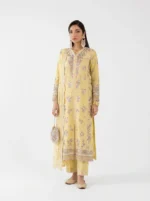 3PC Stitched Mehr Yellow Lawn Full Length Standing View